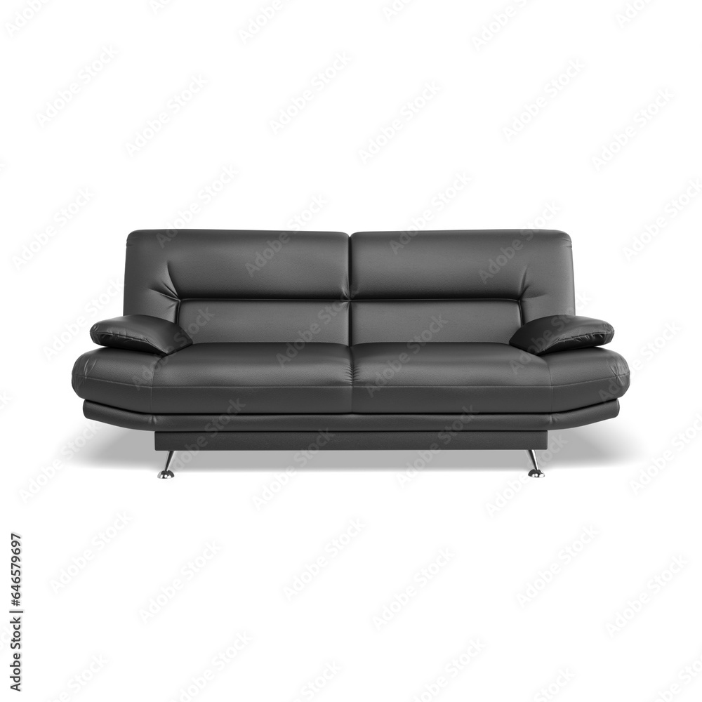 black leather Interior Sofa Bed 