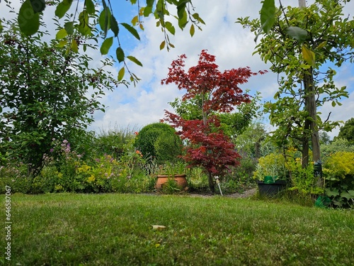 A serene yard enveloped in vibrant greenery, adorned with flowers nestled under the shade of towering trees photo