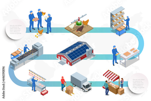 Isometric Poultry farming. Poultry farm building, production of chicken meat, eggs, poultry products. Chicken on an organic farm, freely grazing on a meadow. Organic farming