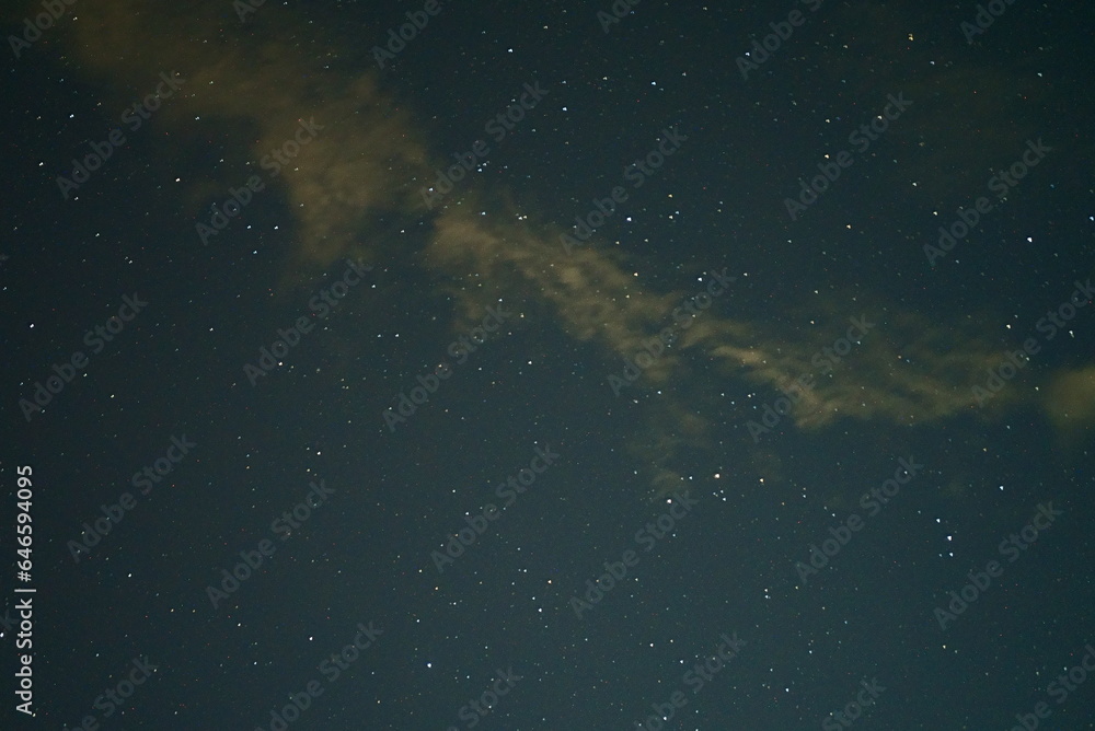 Fototapeta premium 見上げる夜空の星