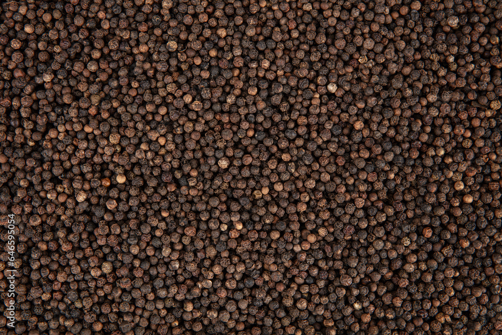 Indian spices, black pepper powder, Black pepper corns scattered. Ground black pepper detal. Indian spices, black pepper powder, Black pepper corns scattered. Ground black pepper detal.