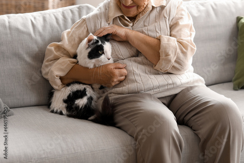 Senior woman with cute cat resting at home © Pixel-Shot