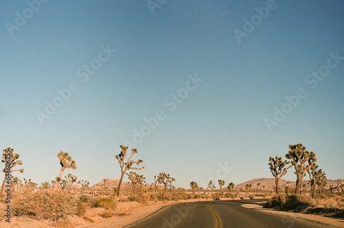 Desert Road