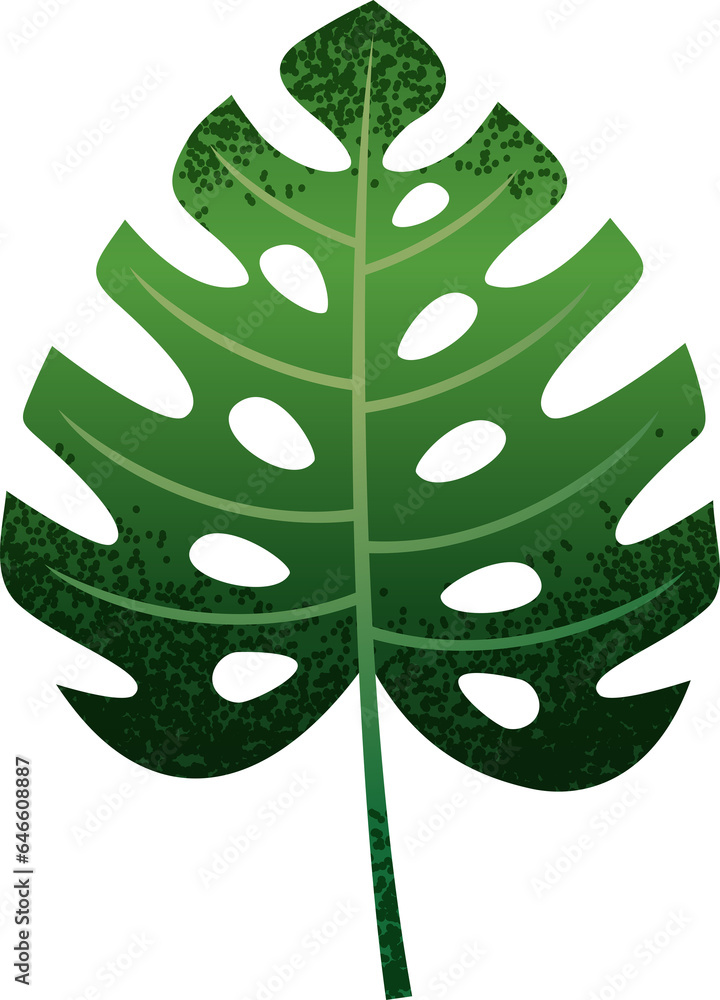 Tropical green leaves isolated illustration Tropical green leaves isolated illustration