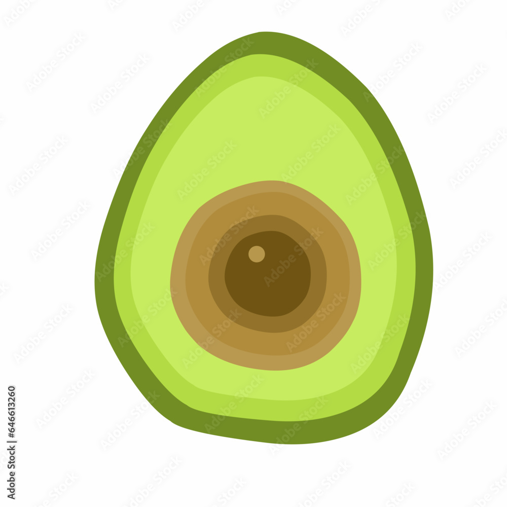 Vector illustration of avocado, front view with sliced half of avocado isolated on white background Vector illustration of avocado, front view with sliced half of avocado isolated on white background