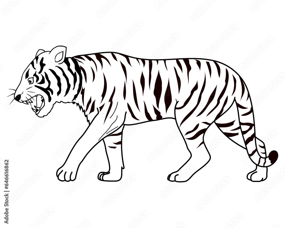 Obraz premium tiger line vector illustration