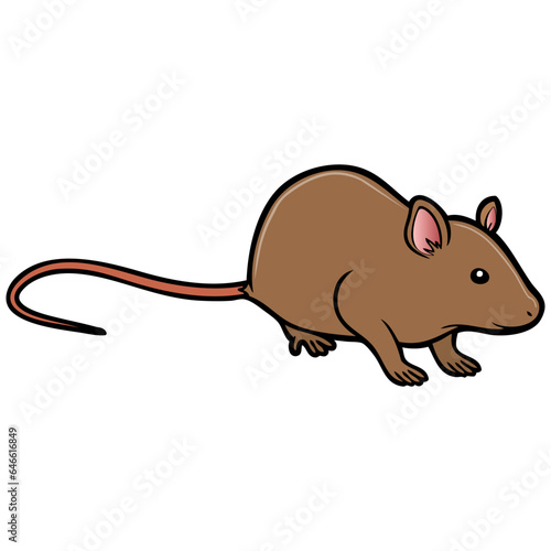 rat vector illustration