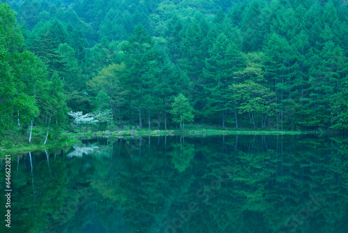 森の中の湖