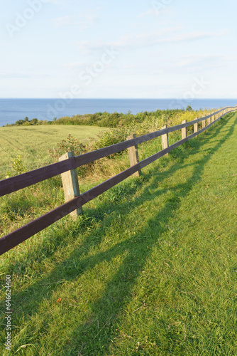 Fototapeta Naklejka Na Ścianę i Meble -  landscape with fence
