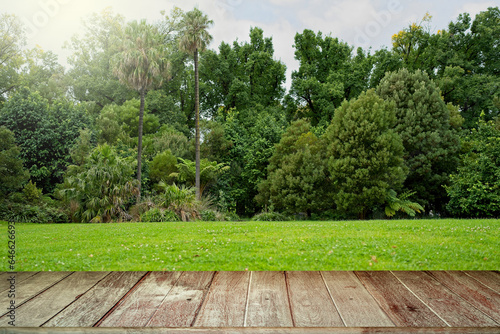 Textured Tabletop Against Lawn At Park Background. 