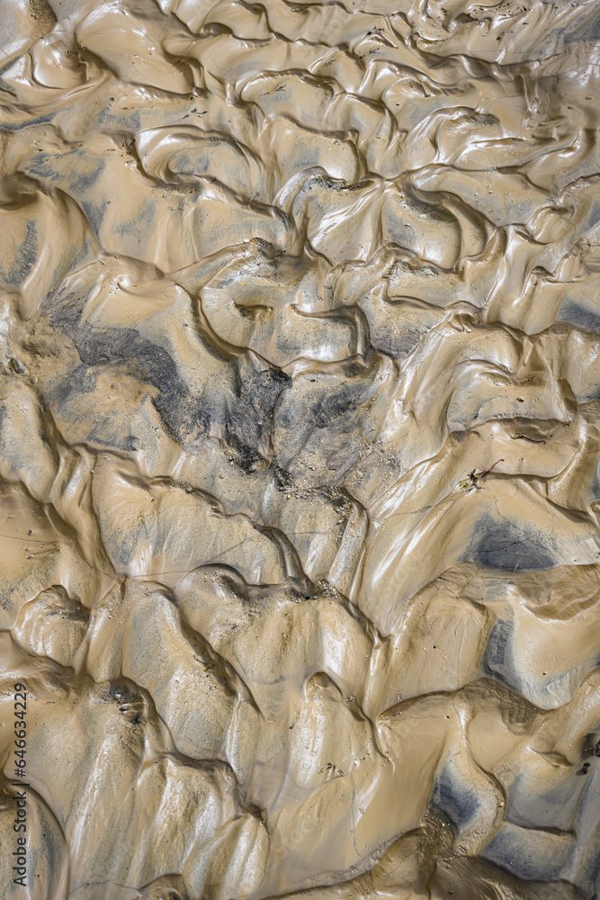 Patterns in wet volcanic mud as a nature background
Patterns in wet volcanic mud as a nature background