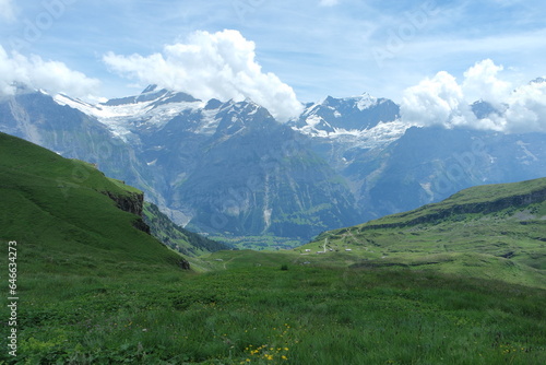 스위스 알프스산