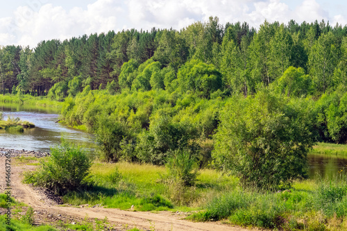 Summer landscape with river and forest. Russia  Nature of Eastern Siberia.