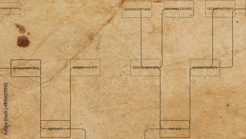 Family tree ancestry genealogy ancestors lineage chart, paper background