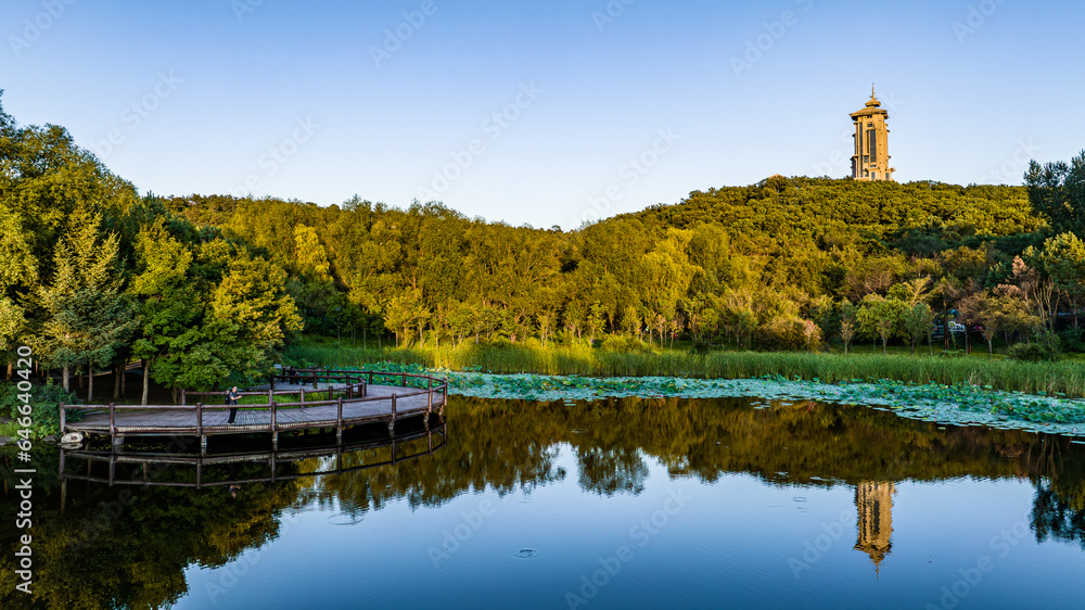 Lotus blossoms in Jingyuetan National Forest Park, Changchun, China Lotus blossoms in Jingyuetan National Forest Park, Changchun, China