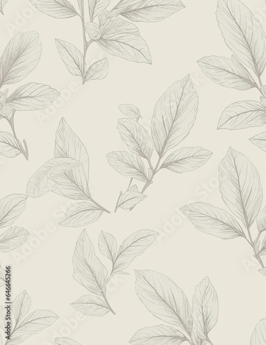 Monochromatic Light nature, Botanical shapes, Hand drawing, cutouts of tropical leaves, Herb, decorative, Background, Wallpaper, art, illustration © Werayut
