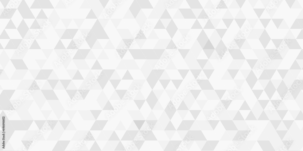 Abstract gray and white background. Abstract geometric pattern gray and white Polygon Mosaic triangle Background, business and corporate background. Abstract gray and white background. Abstract geometric pattern gray and white Polygon Mosaic triangle Background, business and corporate background.