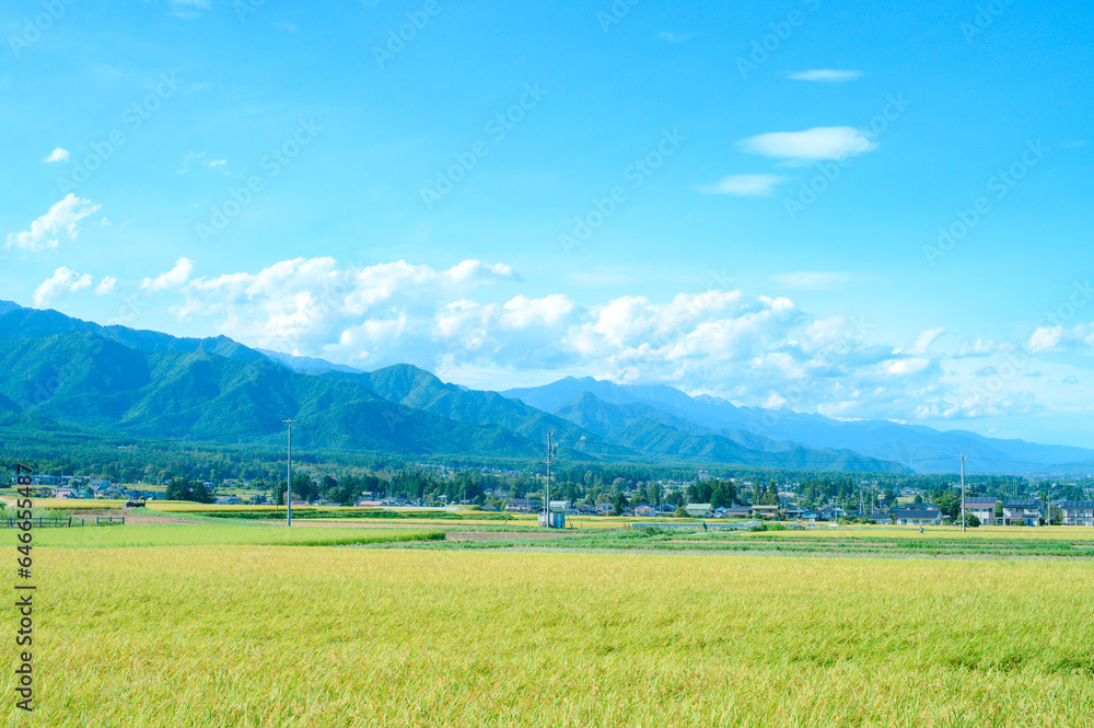 Fototapeta premium 9月の安曇野 穂高