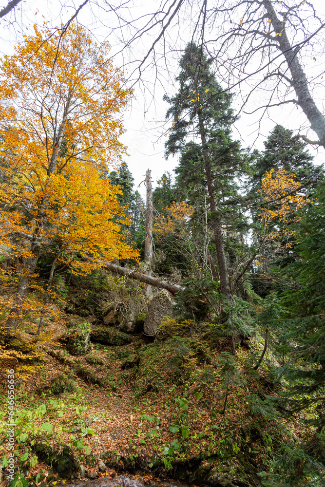 the beginning of autumn, nature walks, mountain panoramas and hiking trails, warm autumn weather. the beginning of autumn, nature walks, mountain panoramas and hiking trails, warm autumn weather.
