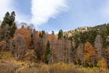 the beginning of autumn, nature walks, mountain panoramas and hiking trails, warm autumn weather.