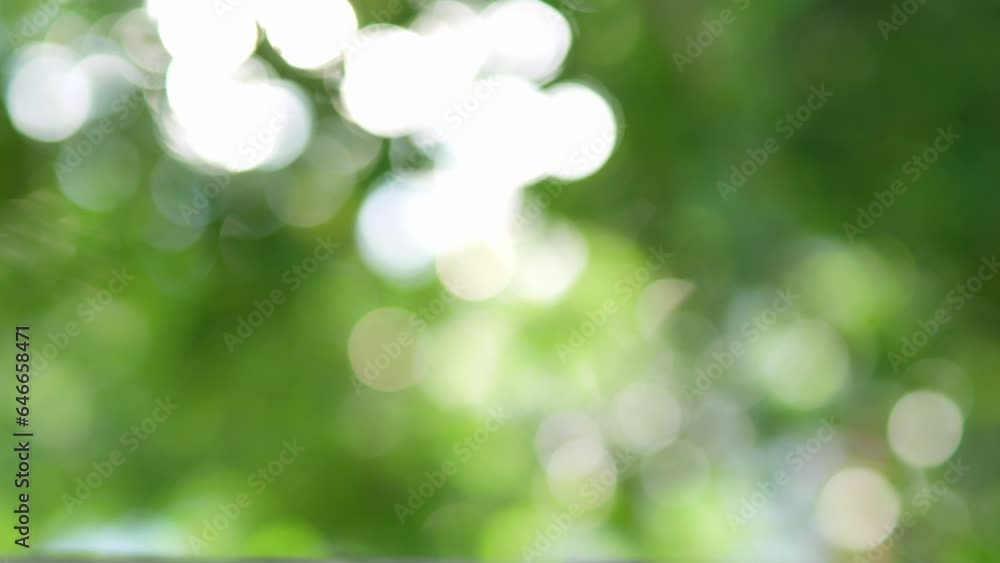 Nature green bokeh sunshine abstract blurred background Nature green bokeh sunshine abstract blurred background