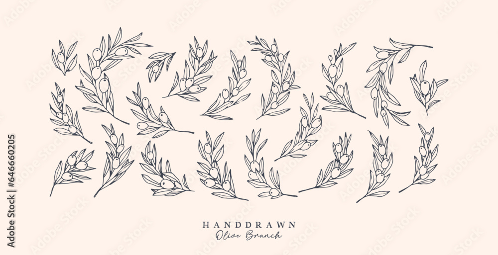 Olive Branch for olive oil logo or olive icon, hand drawn olive branch botanical herbs elements in vector format, floral olive frame and floral wreath
Olive Branch for olive oil logo or olive icon, hand drawn olive branch botanical herbs elements in vector format, floral olive frame and floral wreath