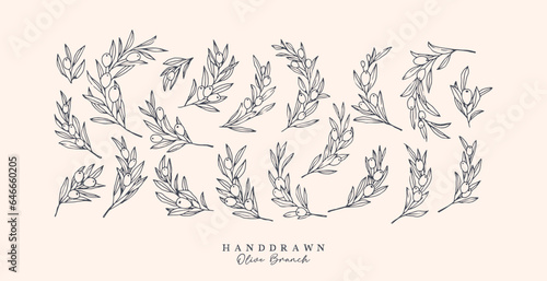Olive Branch for olive oil logo or olive icon, hand drawn olive branch botanical herbs elements in vector format, floral olive frame and floral wreath
