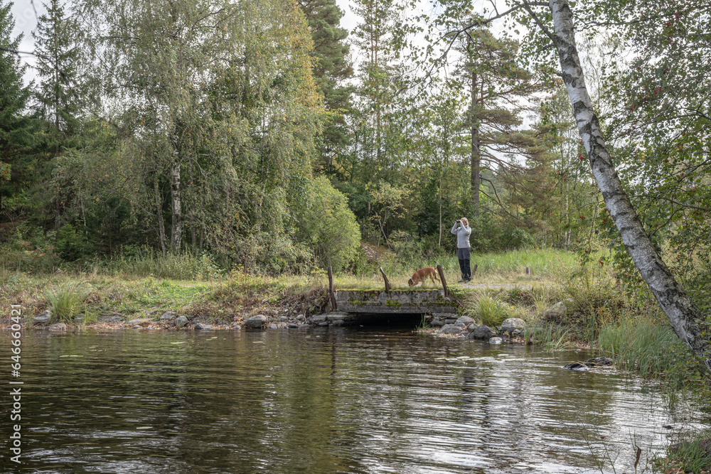 Girl hiking at Lake Ragnerudssjoen in Dalsland Sweden beautiful nature forest pinetree swedish Girl hiking at Lake Ragnerudssjoen in Dalsland Sweden beautiful nature forest pinetree swedish