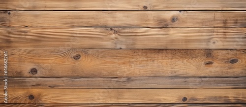 Abstract background with a fresh wooden board texture.