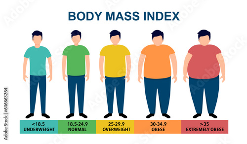 Body mass index vector illustration from underweight to extremely obese. Man with different obesity degrees. Male body with different weight. photo