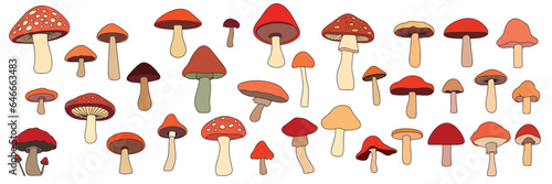 Set of mushrooms colored outline. Hand drawn mushroom in doodle style. Mushrooms with outline. Vector illustration.