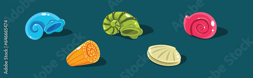Sea Shells with Spiral Shape of Different Color Vector Set