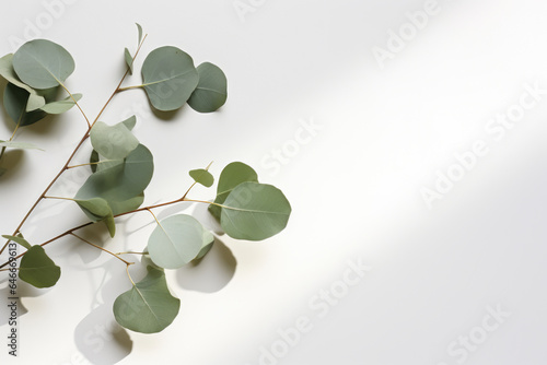 Close-up view of bunch of green leaves resting on smooth white surface. This image can be used to add touch of nature and freshness to various projects.