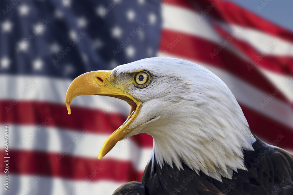 Naklejka premium Bald eagle concept with USA flag on the background