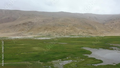 Alpine meadows grassland mountains 