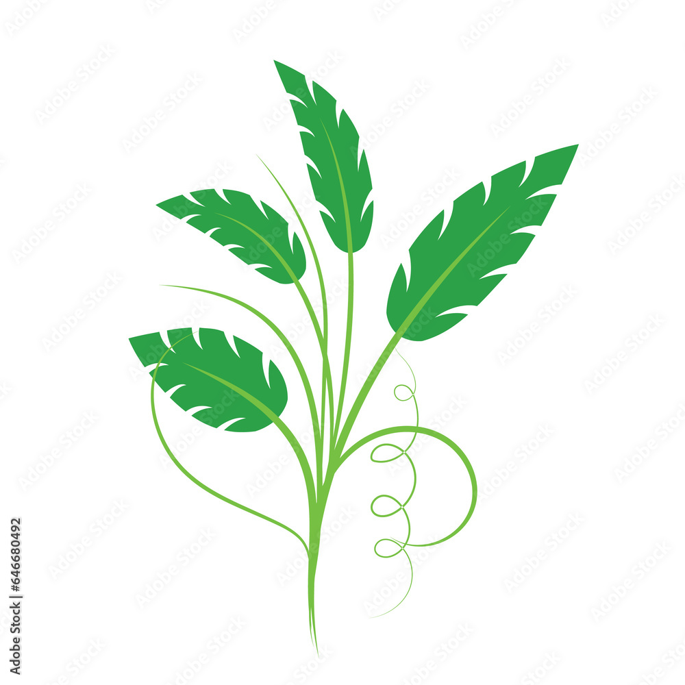 green leaves vector green leaves vector