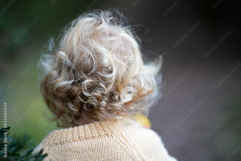 toddler hiking in the forest on a path. kids walking in the forest toddler hiking in the forest on a path. kids walking in the forest