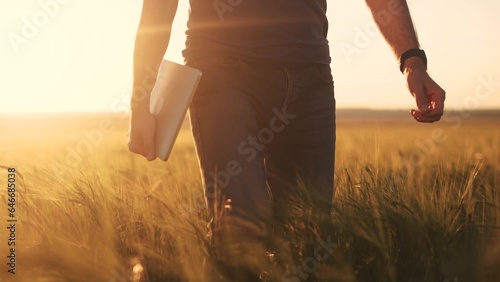 Agriculture. a farmer with a laptop walks in an agricultural field of wheat at sunset. agriculture business concept. farmer walk with lifestyle tablet works in wheat field sunlight
