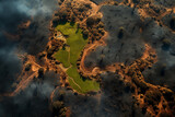 Drone view of a burnt forest. AI generated