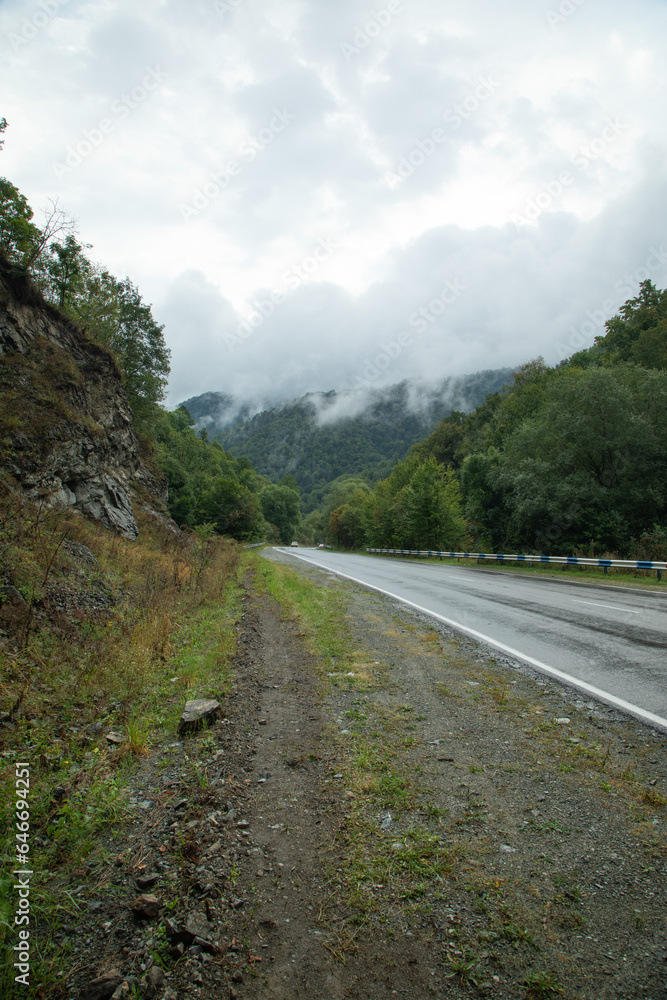 Fototapeta premium Beautiful view of country road.