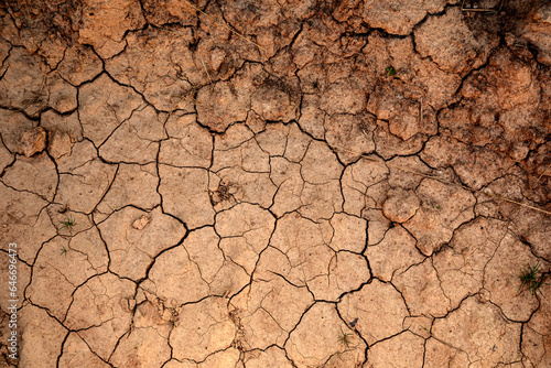Dry ground as background. The concept of thirst, dehydration.