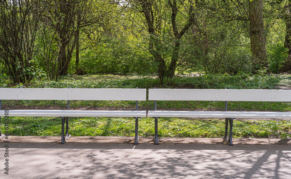 Old Wooden Bench in Park, Outdoor City Architecture, Green Wooden Benches, Outdoor Chair Old Wooden Bench in Park, Outdoor City Architecture, Green Wooden Benches, Outdoor Chair