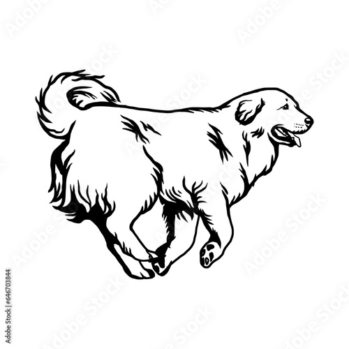 Great Pyrenees - Dog Breed, Funny dog Vector File, detailed vector