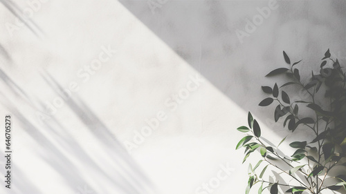 Shadow on white wall, plant, light background with copy space