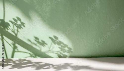 Minimal abstract green background for product presentation. Shadow and light from windows on plaster wall. The backdrop for product presentation, Product showcase background wall.
