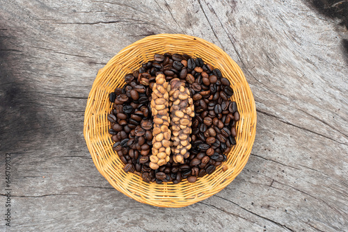 Kopi luwak or civet coffee, is one of the world's most expensive and low-production varieties of coffee