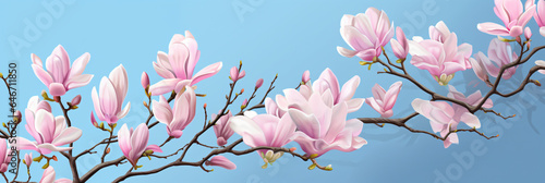 Beautiful pink magnolia flowers on blue background.