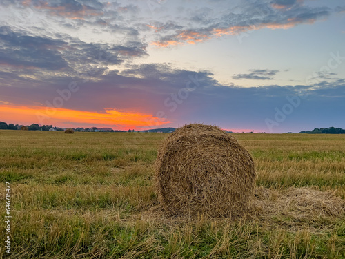 A picturesque scene capturing the rustic charm of a straw-strewn field basking in the warm, golden hues of the sun.