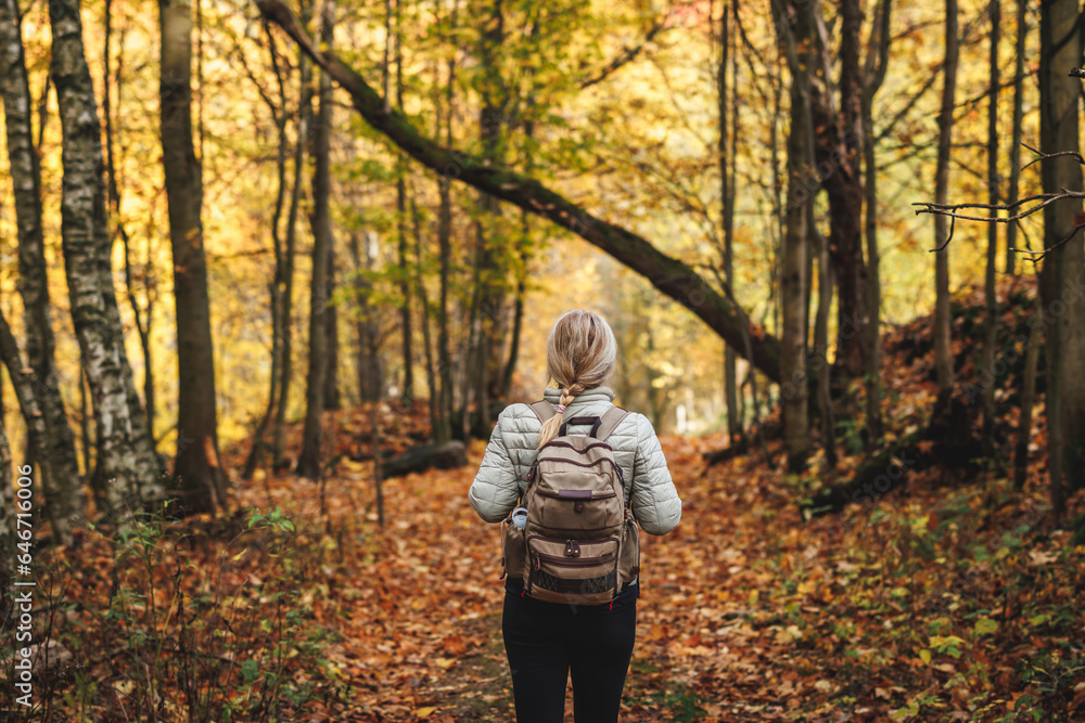 Woman with backpack hiking on footpath in autumn forest. Solo female tourist outdoors Woman with backpack hiking on footpath in autumn forest. Solo female tourist outdoors