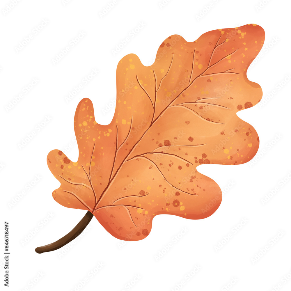 Obraz premium Fallen leaves 